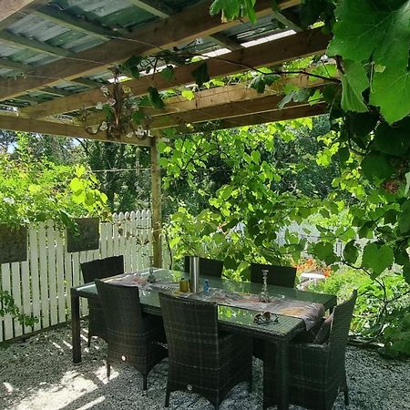 Paparoa Pheasant Lodge المظهر الخارجي الصورة