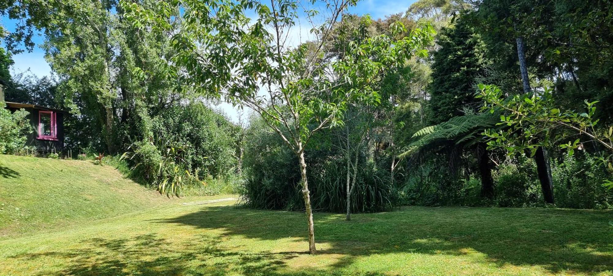 Paparoa Pheasant Lodge المظهر الخارجي الصورة
